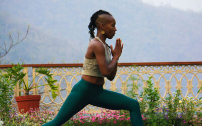 Noom Wellness